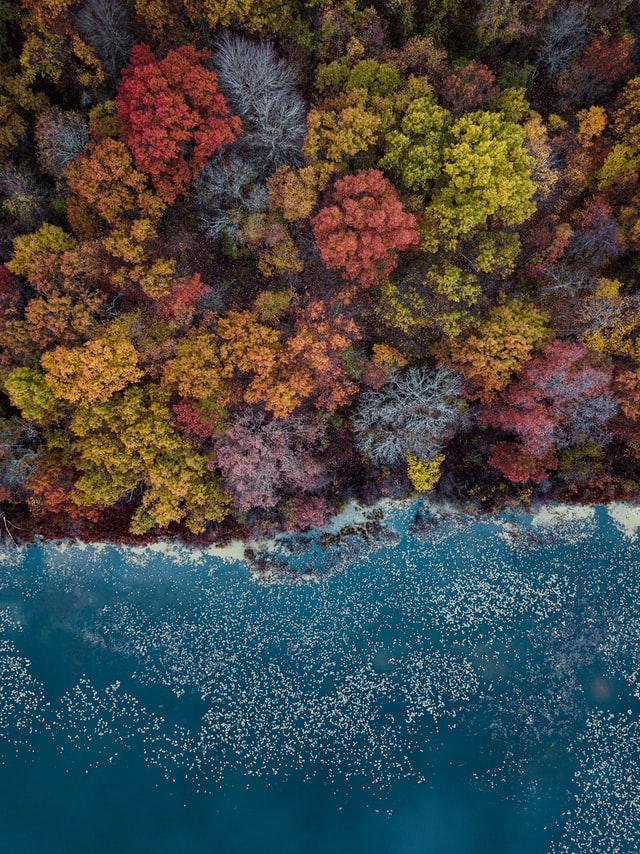Natuur Natuur