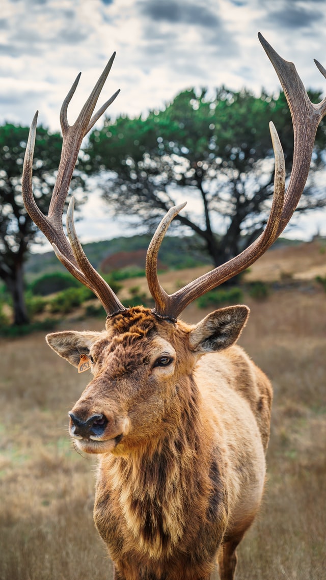 Natuur Natuur