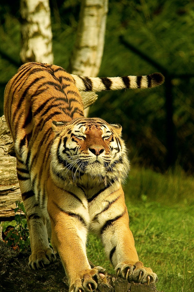Natuurfotografie Natuurfotografie